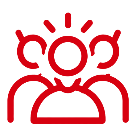 Priority Partner Support